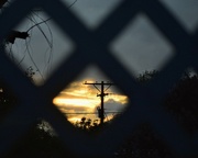 17th May 2025 - Sunset Through The Trellis...