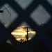 Sunset Through The Trellis...