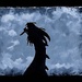Dragon Arising