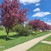 Springtime In The Park 