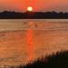 Sunset along the Ashley River
