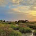 Marsh sunset