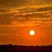 Marsh sunset