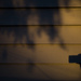Shadows
