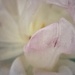 Fading