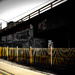 Flash of yellow