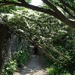 The path to......