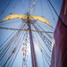 Rigging