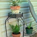 Freshly potted...