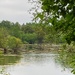 Across the lake