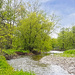 Looking Downstream