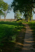 20th May 2025 - Field path 