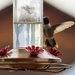 First Hummingbird of 2025