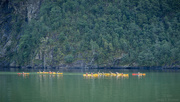 20th May 2025 - Fjord kayaking 