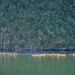 Fjord kayaking 