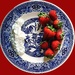 Whip meets Red H/H on Blue Willow - Day 20