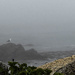Foggy morning at the coast