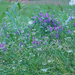 On the Side of the Road