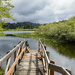 Roadside Fishing Spot