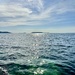 Sailing. 