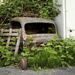 For Sale. Used Truck. Needs Work by cdcook48