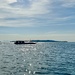 Flores sea. 