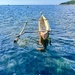 Pirogue 