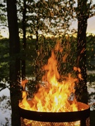 20th May 2025 - Fireflies 