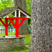 wishing well
