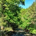 Bushkill Creek