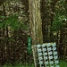 Road Art?