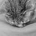 Gray on gray