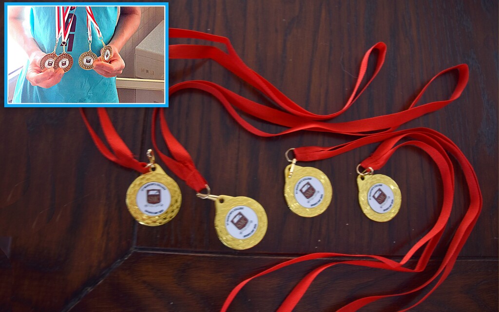 MEDALS AND MEDALS by sangwann