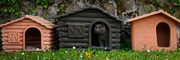 21st May 2025 - Lara the cat and the rule of odds