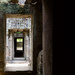 Looking Through The Doorways.....P4223329