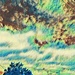 Cloudscape