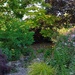 Courtyard Garden 