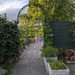 Green spaces and light 