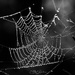 Crystal Web