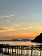 16th May 2025 - Golden hour. 