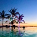 Sunset panorama. 