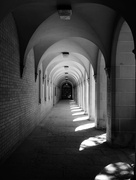 21st May 2025 - The Corridor of Wisdom