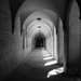 The Corridor of Wisdom