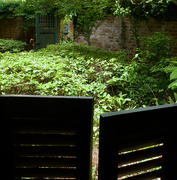 14th May 2025 - Long Vue Gardens 