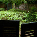 Long Vue Gardens 