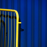 22nd May 2025 - Yellow on blue 