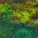 NoMowMay in Abstract (22) by rensala
