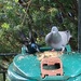 My Food!