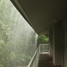 Monsoon rain - view outside my apartment front door today - not much photography happening today by lbmcshutter