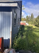22nd May 2025 - The side yard